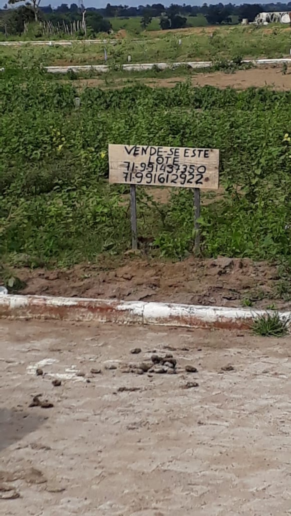 Captação de Terreno a venda no bairro Chapadinha, Cruz das Almas, BA