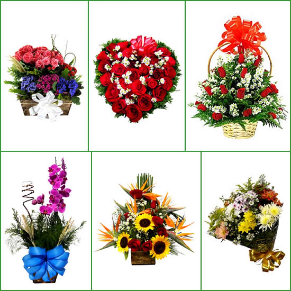 Flores Juatuba, Floricultura Juatuba, Entrega Buquês, Cesta De Café,  Orquídeas, Arranjos Florais, Coroa De Flores Juatuba Mg - Juatuba, Mg - Zip  Anúncios