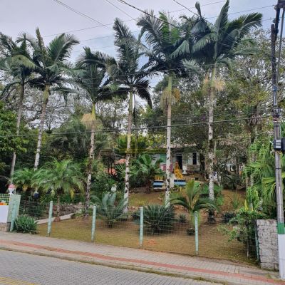 Casas à venda na Rua Santo Amaro em Florianópolis, SC - ZAP Imóveis